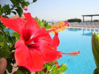 Casarossa Hotel Residence & Beauty Crotone Eksteriør bilde